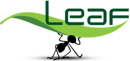 Leaf Logo